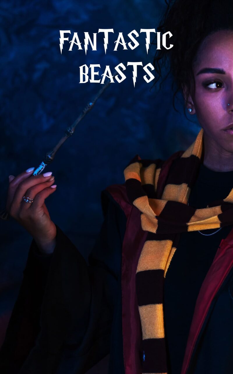 Magician's Guide to Fantastic Beasts