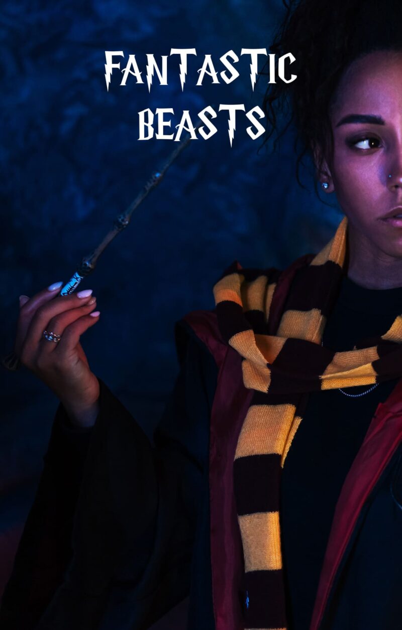 Guía del Mago sobre Animales Fantásticos - Image 2